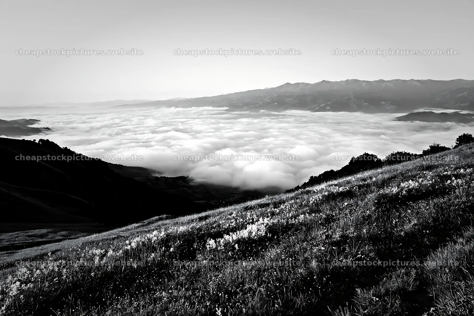 Transylvania summer hay meadows with cloud cover in the valley – stock pictures 9722x6480