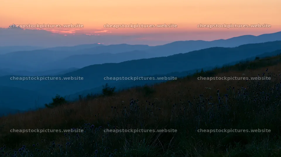 Sunset over a regenerative meadow in the mountains – stock pictures 10608x5938