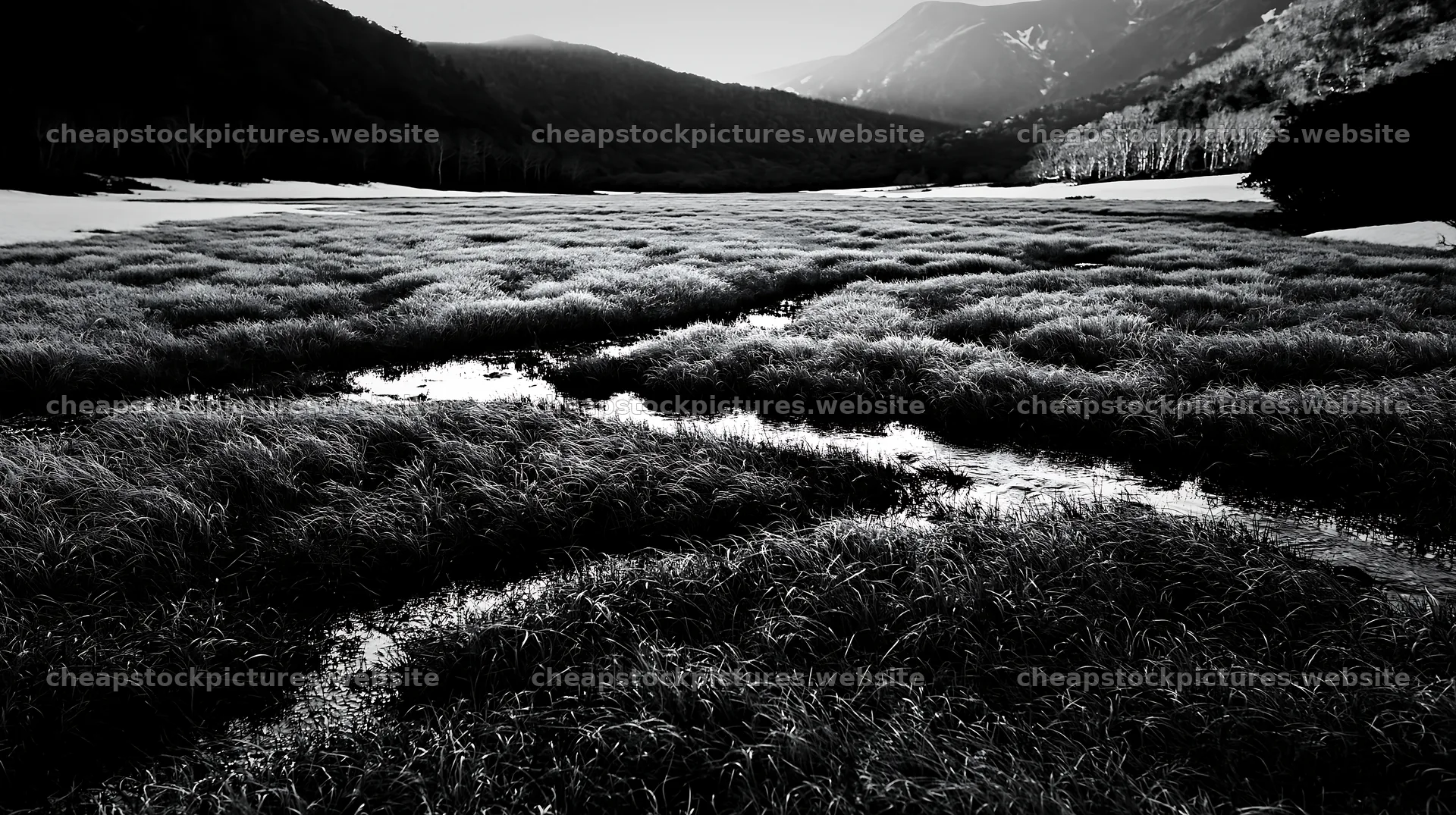 Akita snowmelt meadow with silver grasses at dusk – stock pictures 10608x5938