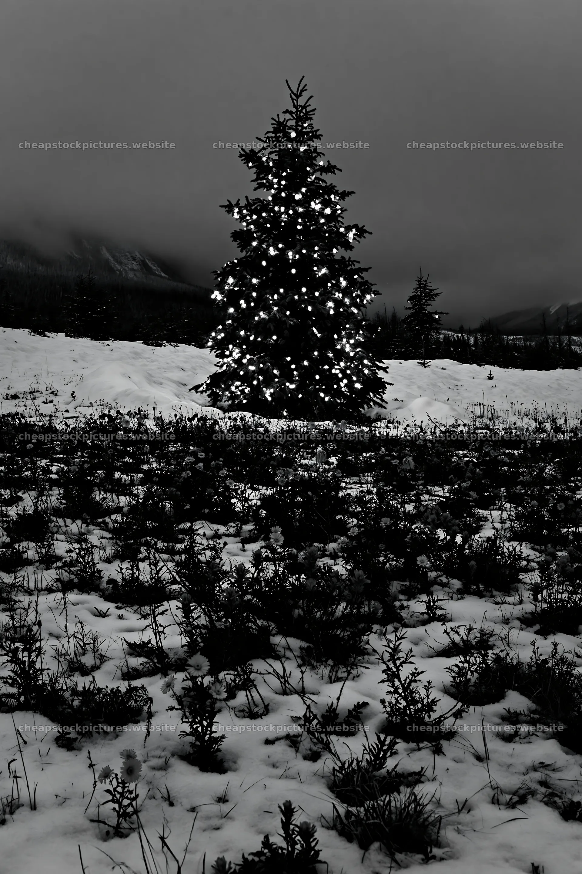 Christmas tree with lights in snowy mountain valley – stock pictures 6480x9722