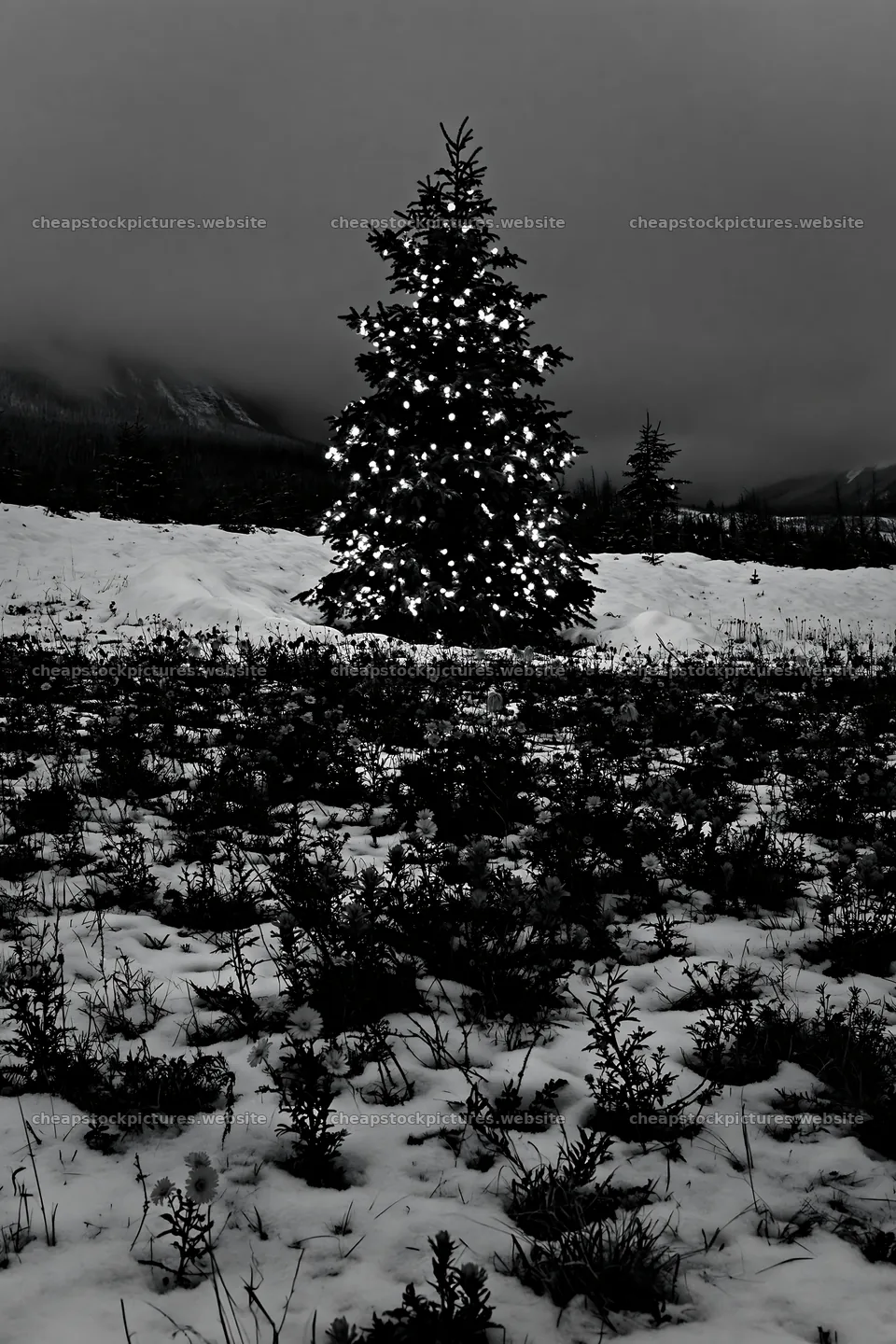 Christmas tree with lights in snowy mountain valley – stock pictures 6480x9722