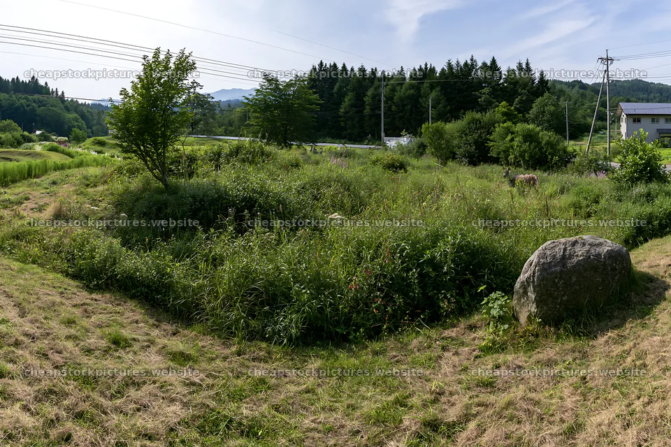 Aomori climate resilient meadow with boulder – stock pictures 9722x6480