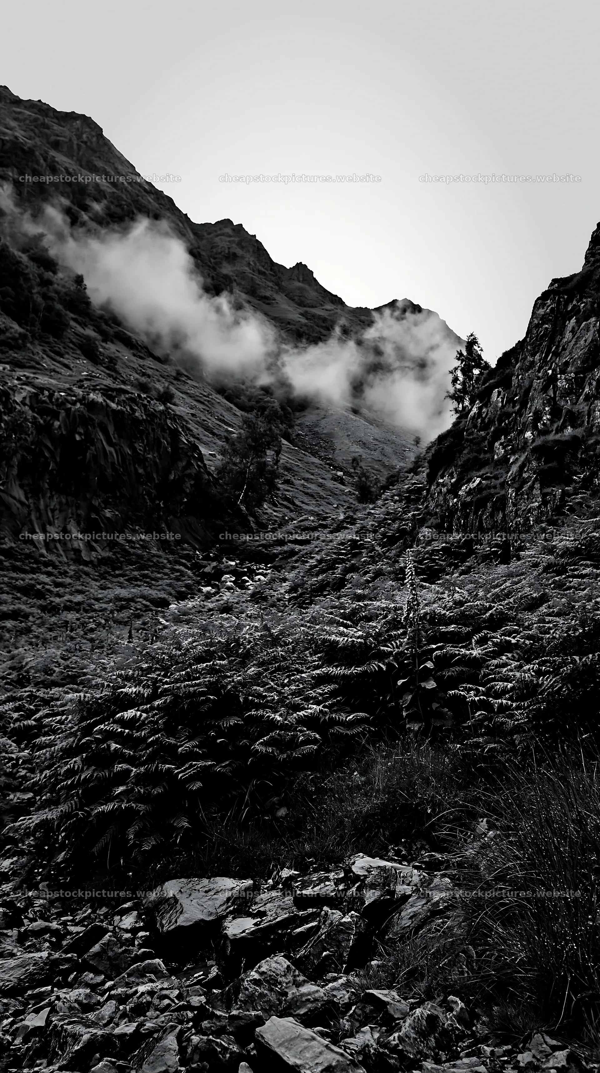 Meadow beneath crags with fog in the mountains – stock pictures 5938x10608