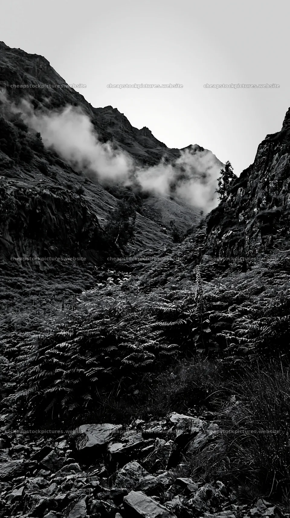 Meadow beneath crags with fog in the mountains – stock pictures 5938x10608