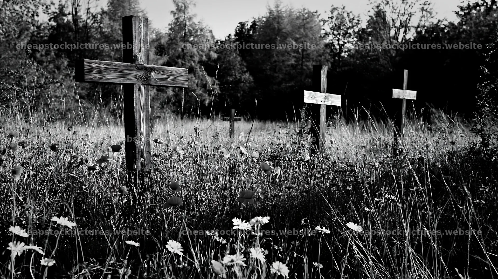 Wooden crosses in meadow during winter season – stock pictures 10608x5938