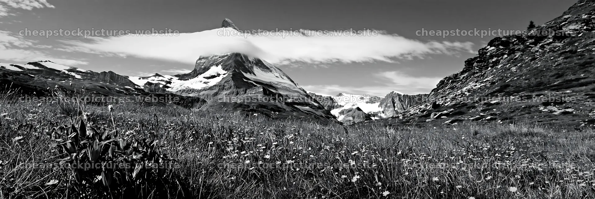 Matterhorn mountain above alpine wildflower meadow – stock pictures 13690x4602