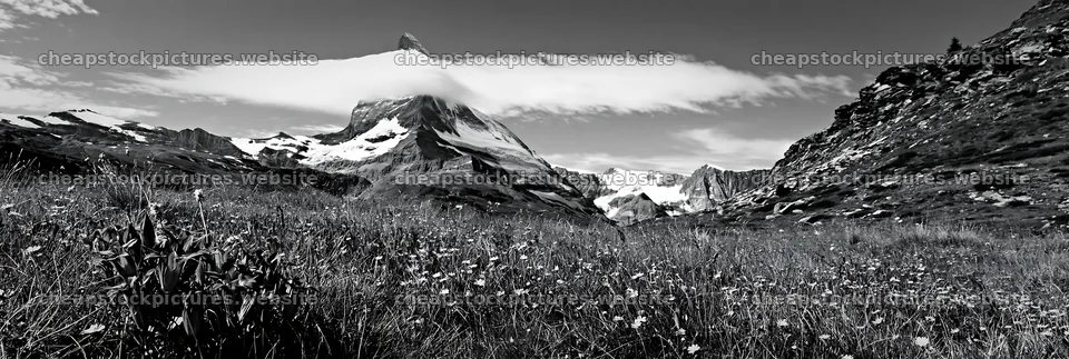 Matterhorn mountain above alpine wildflower meadow – stock pictures 13690x4602