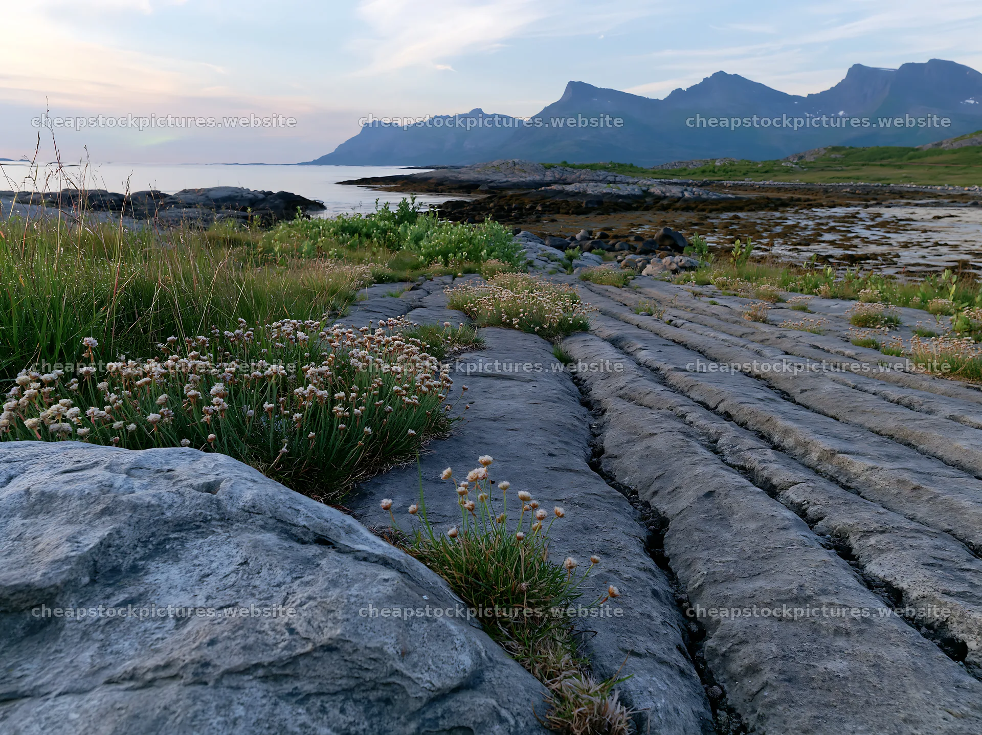 Aurora meadow coast with rocky shoreline and distant mountains – stock pictures 9174x6866
