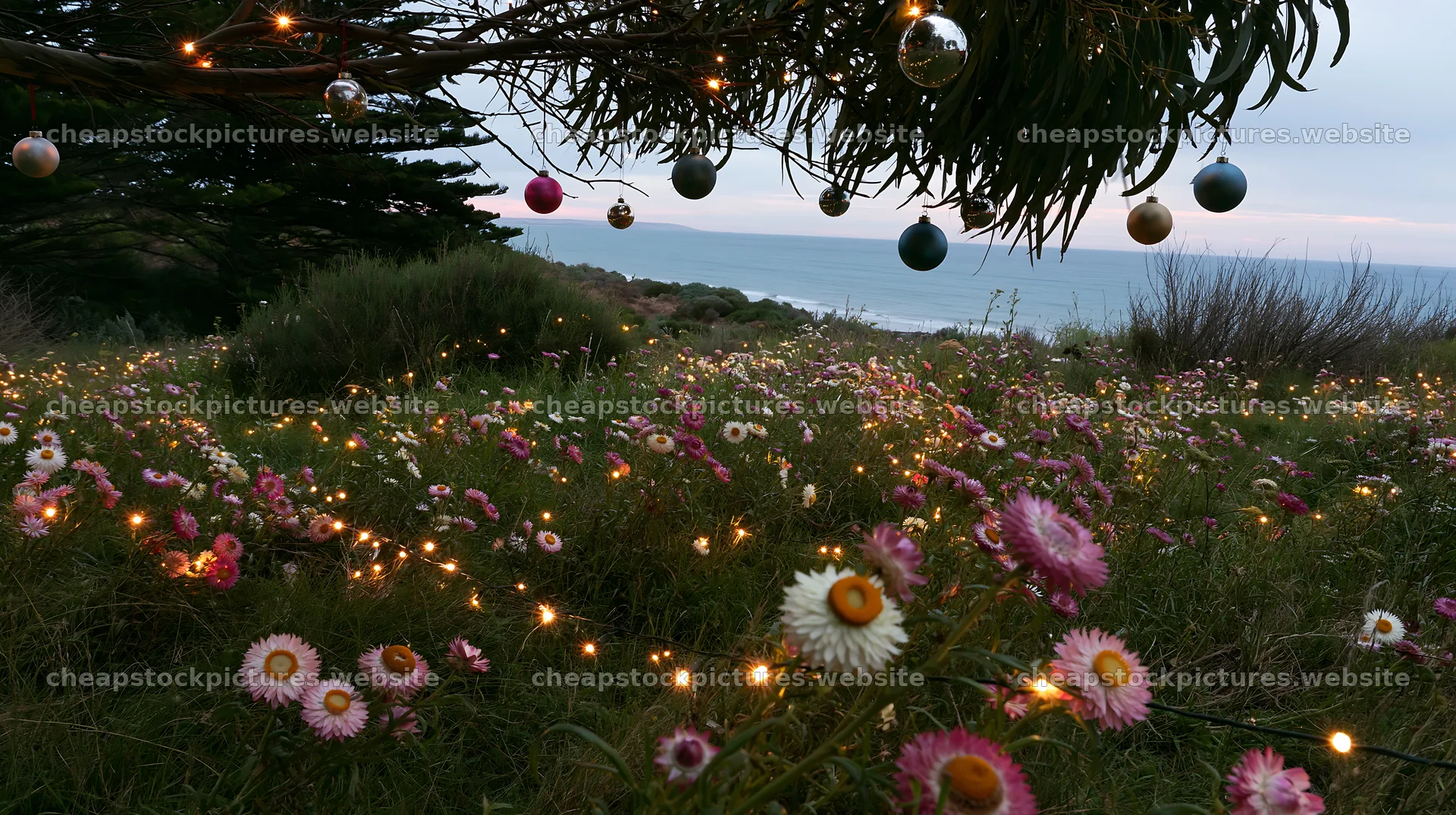 Wide Christmas meadow with native flowers and fairy lights – stock pictures 10608x5938