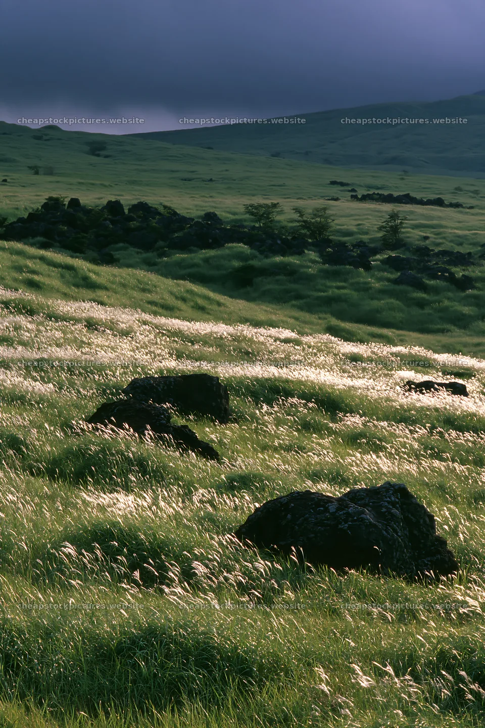 Restored Kumamoto silver grass meadow boulders – stock pictures 6480x9722