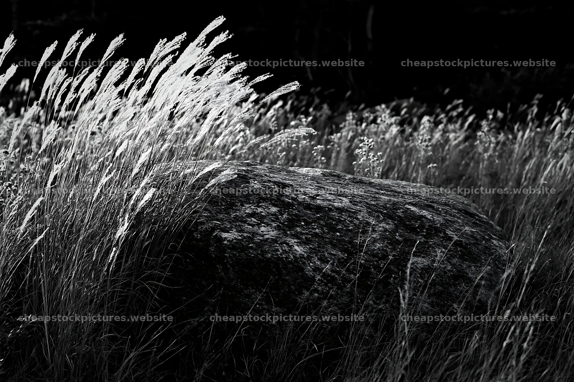 Nagano drought resilient meadow granite boulder surrounded by grass – stock pictures 9722x6480