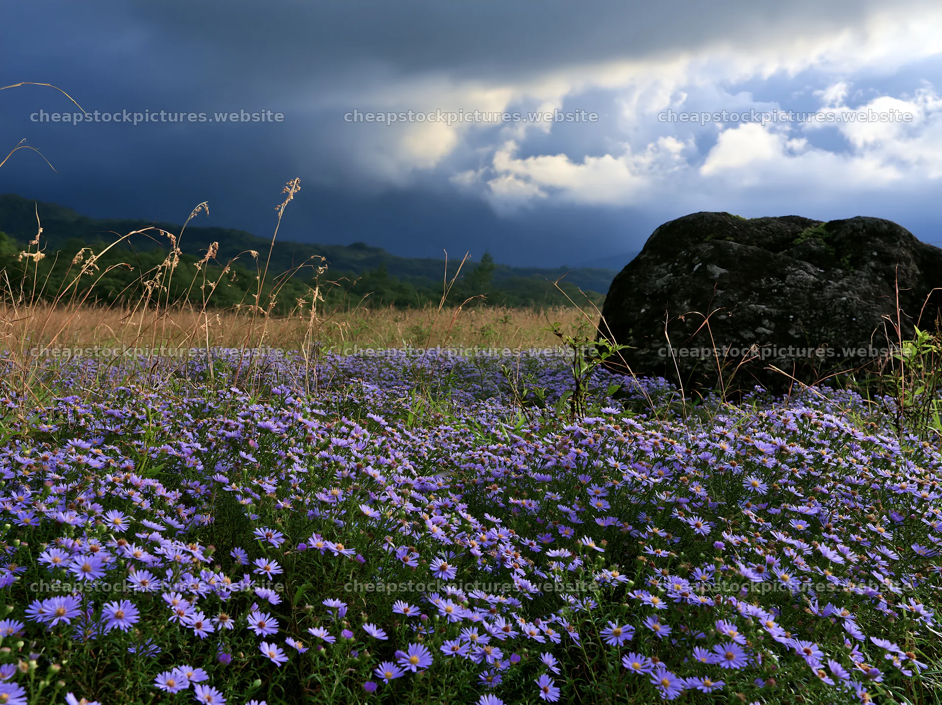 Nagano drought resilient meadow granite boulder in a field – stock pictures 9174x6866
