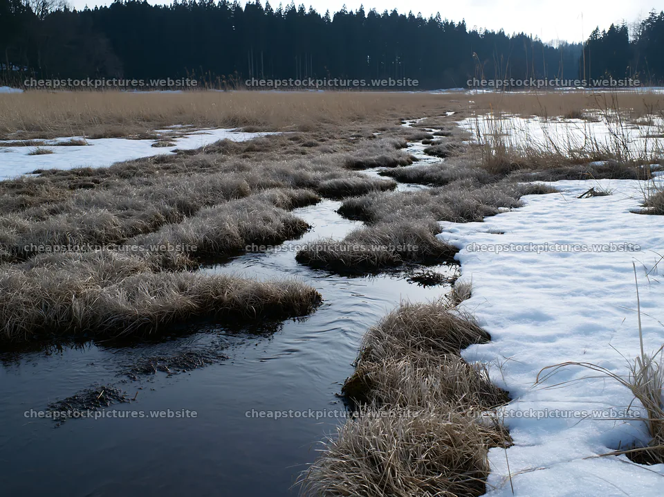 Akita snowmelt meadow with silver grasses beside a winding stream – stock pictures 9174x6866