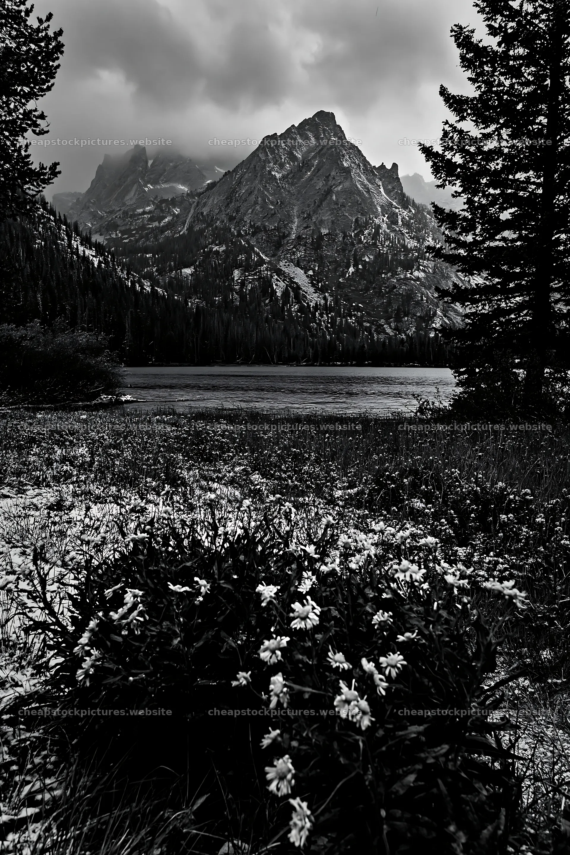 Snowy lakeside meadow with mountains in the background – stock pictures 6480x9722