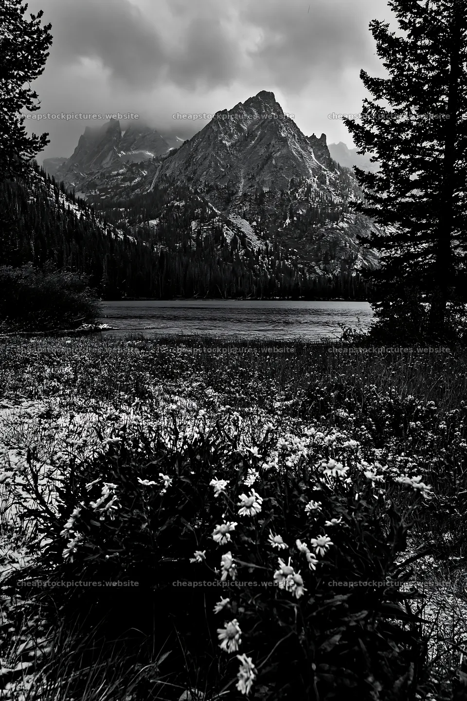 Snowy lakeside meadow with mountains in the background – stock pictures 6480x9722