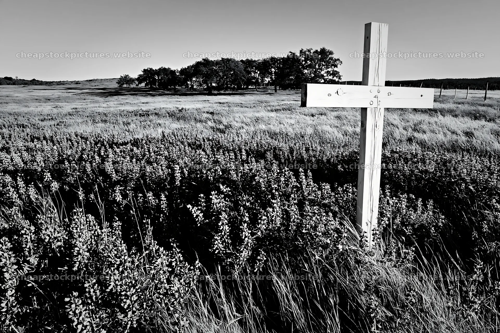 White Christian cross in meadow with grass and trees – stock pictures 9722x6480