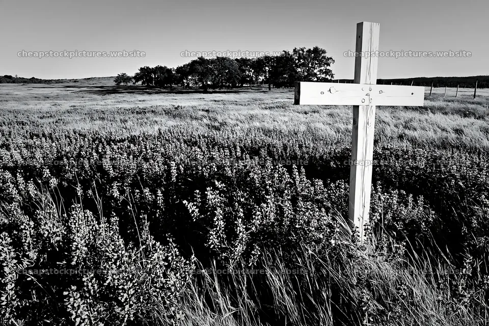 White Christian cross in meadow with grass and trees – stock pictures 9722x6480