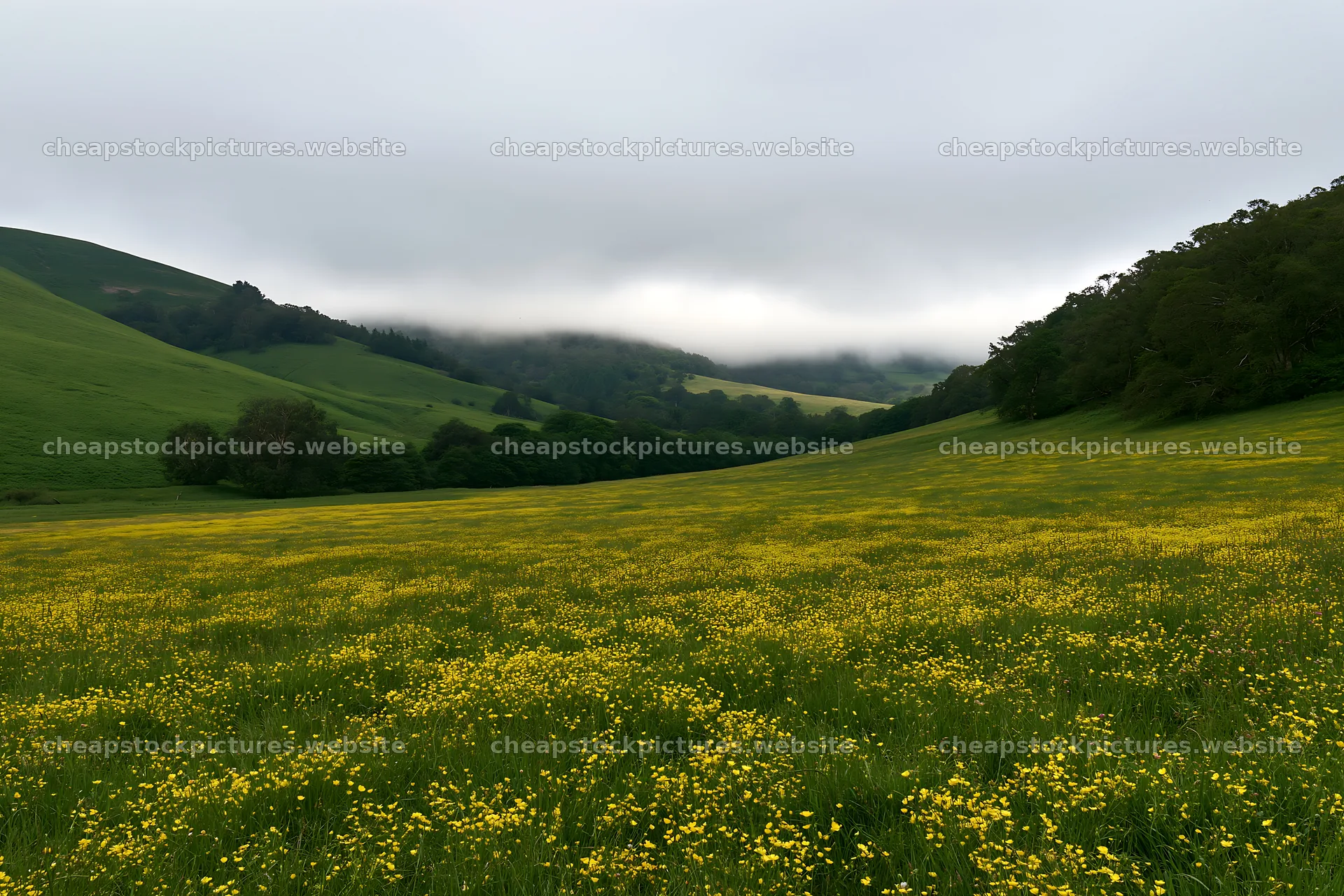 Buttercup meadow with rolling hills and cloudy skies – stock pictures 9722x6480