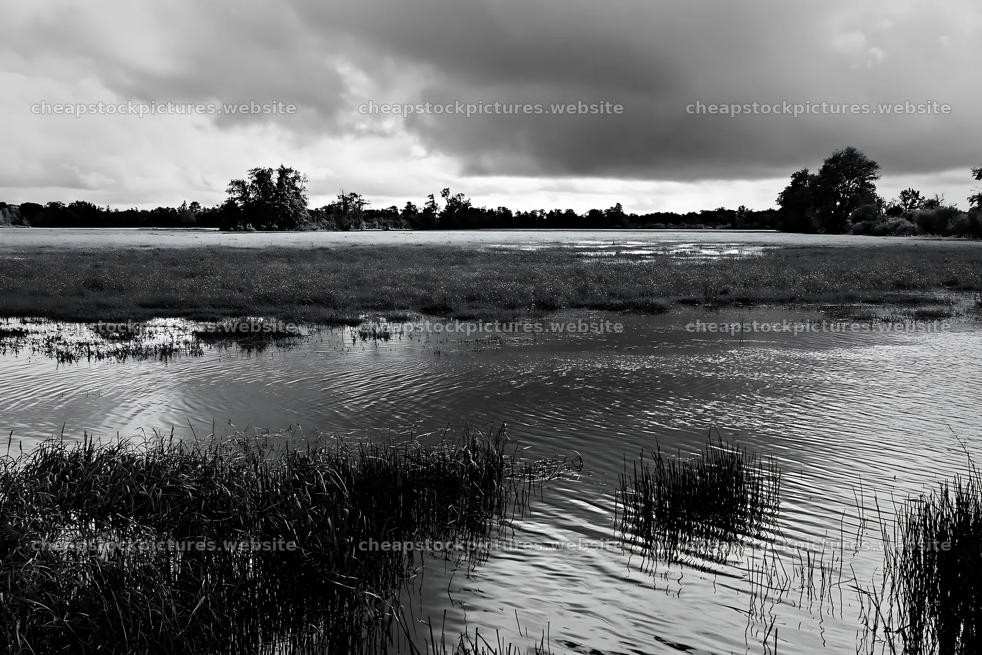 Saga floodplain meadow with reeds and water under cloudy sky – stock pictures 9722x6480