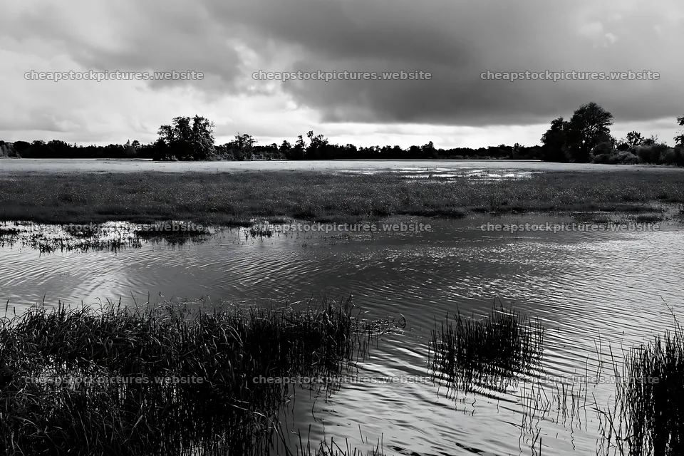 Saga floodplain meadow with reeds and water under cloudy sky – stock pictures 9722x6480