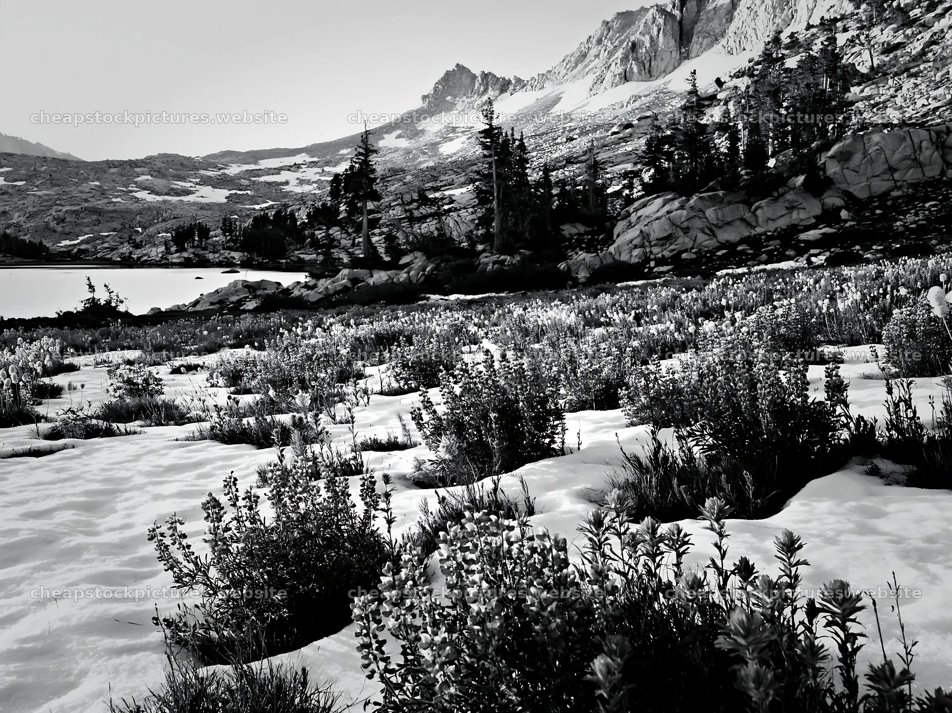 Snowy lakeside meadow with mountains in the background – stock pictures 9174x6866