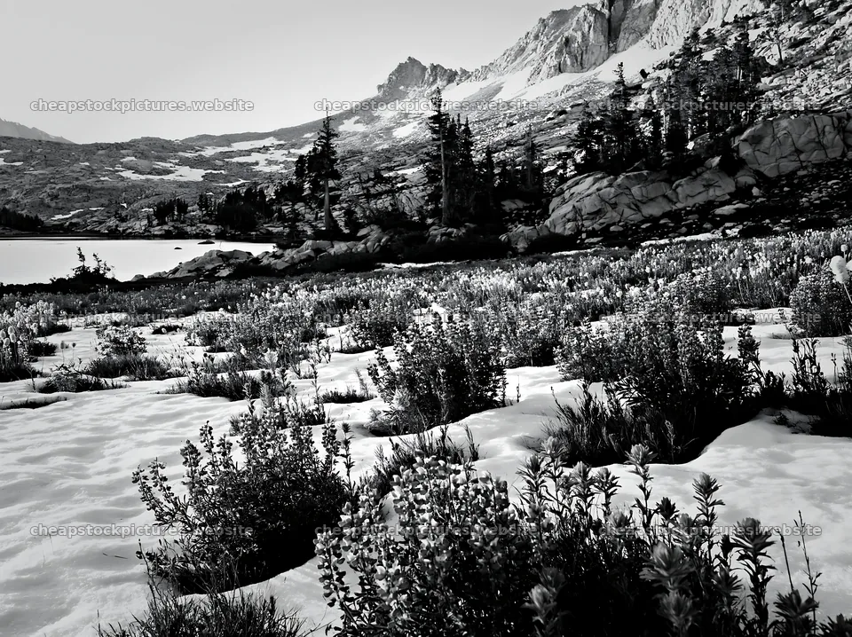 Snowy lakeside meadow with mountains in the background – stock pictures 9174x6866
