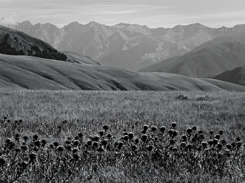 French meadow below Pyrenees range with wildflowers – stock pictures 9174x6866