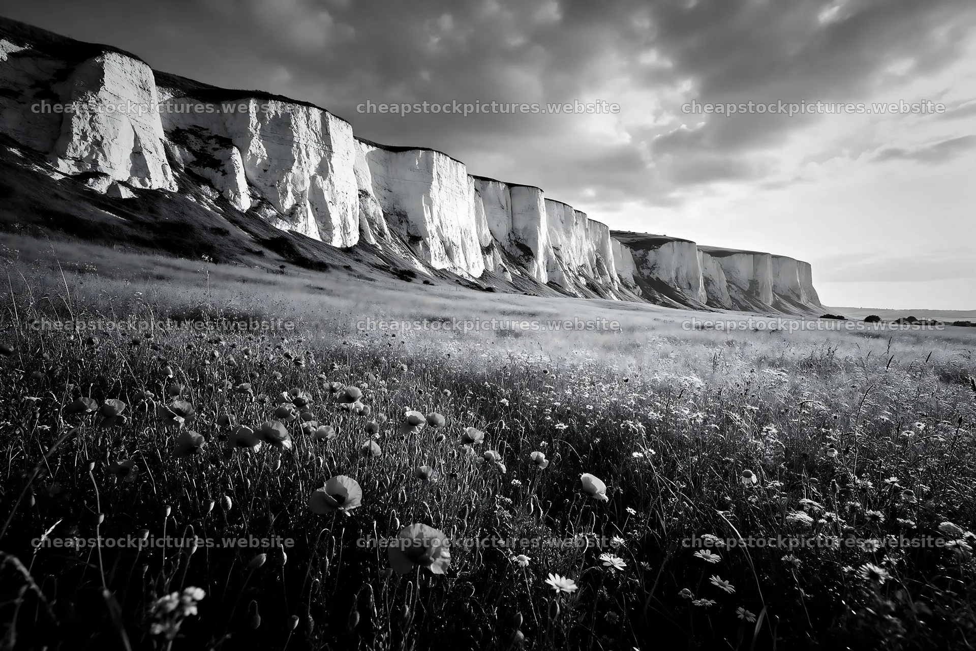 Sunny limestone meadow under gray sky with cliffs in background – stock pictures 9722x6480