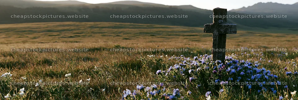 Simple Christian cross in a meadow with flowers – stock pictures 13690x4602