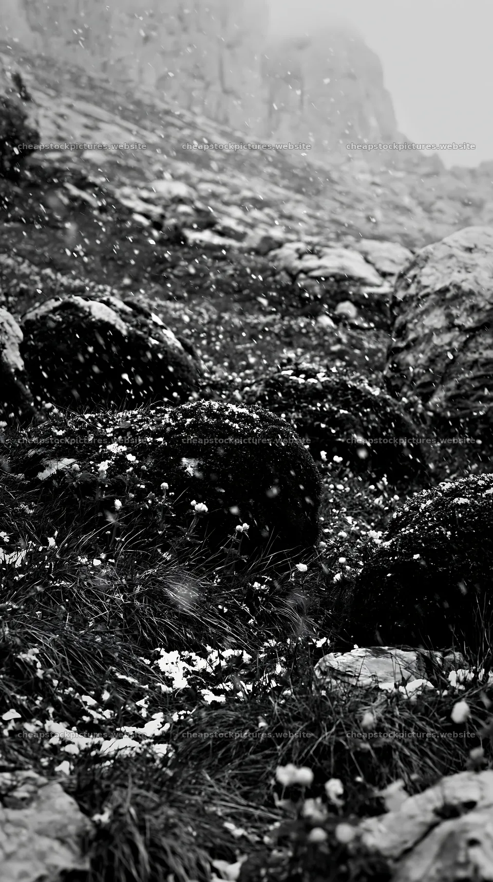 Mossy boulders in a meadow during snow – stock pictures 5938x10608
