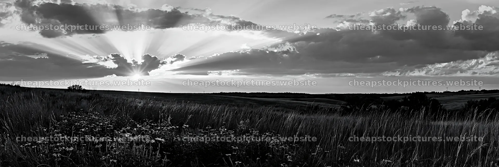 Crepuscular rays shining over a meadow at sunset – stock pictures 13690x4602