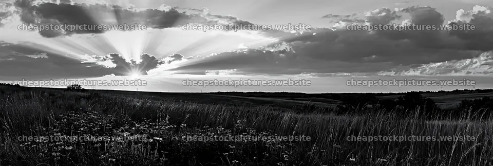 Crepuscular rays shining over a meadow at sunset – stock pictures 13690x4602