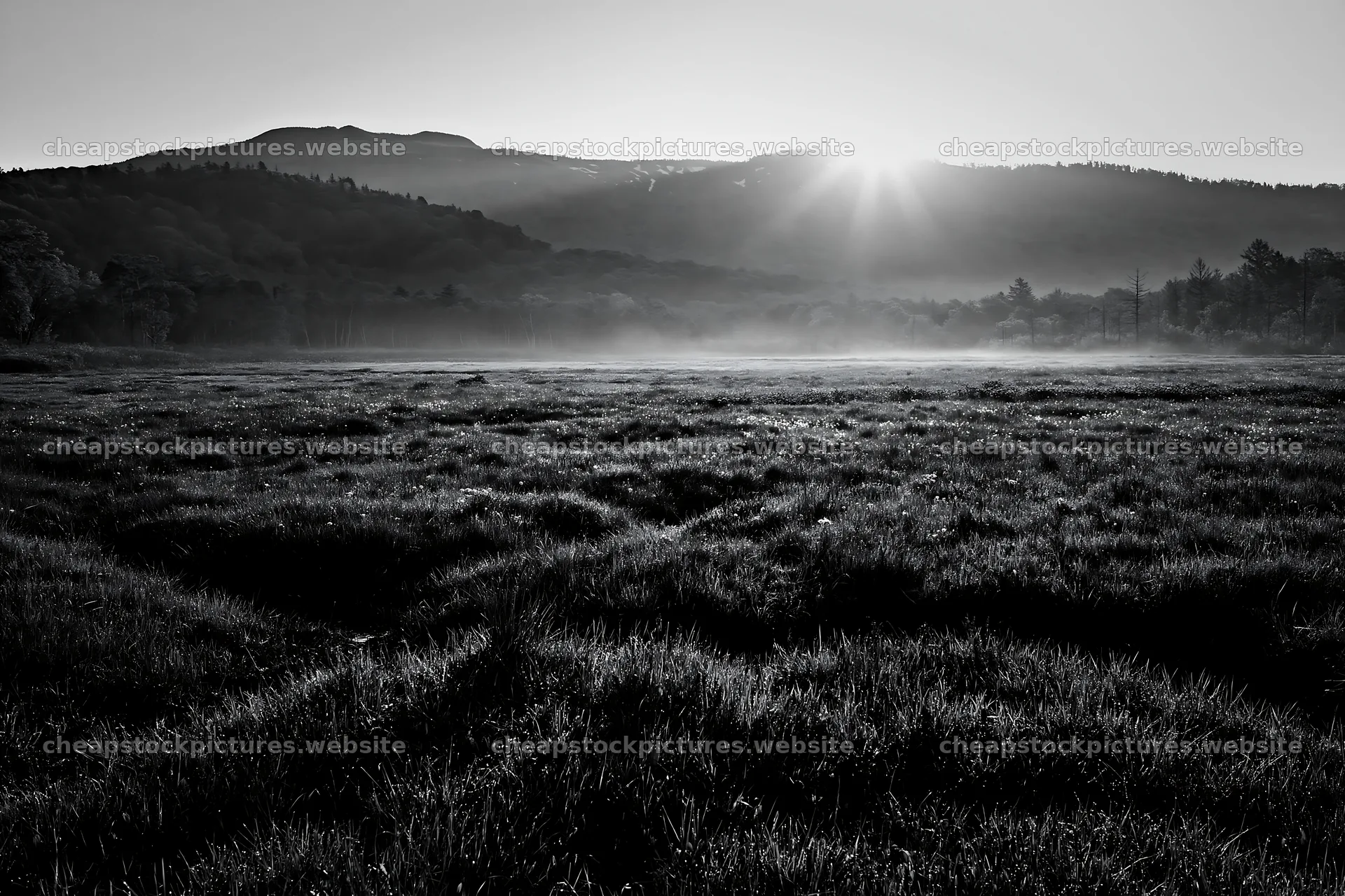 Expansive Hokkaido restoration meadow with dewdrops – stock pictures 9722x6480