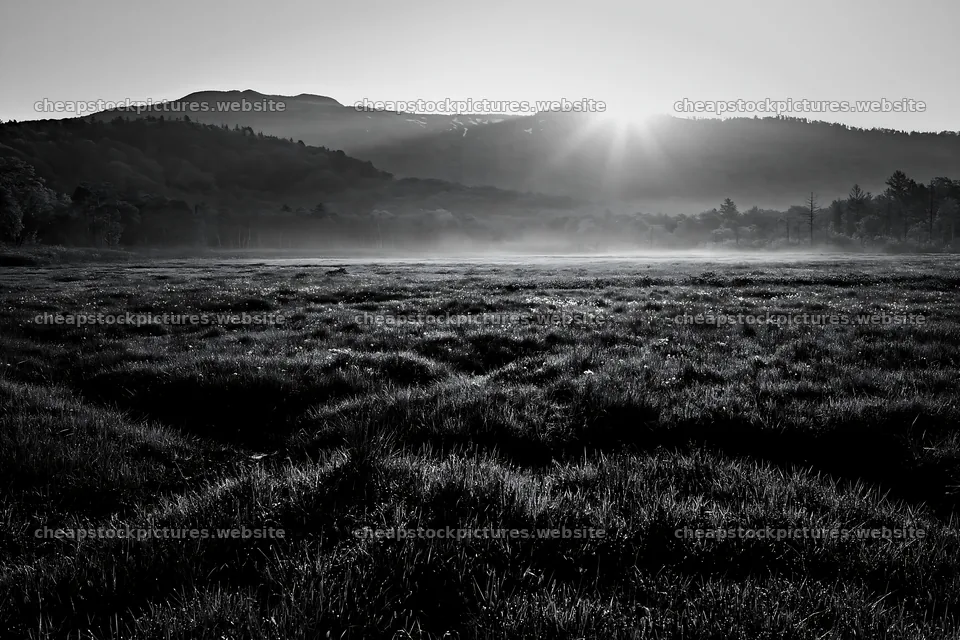 Expansive Hokkaido restoration meadow with dewdrops – stock pictures 9722x6480