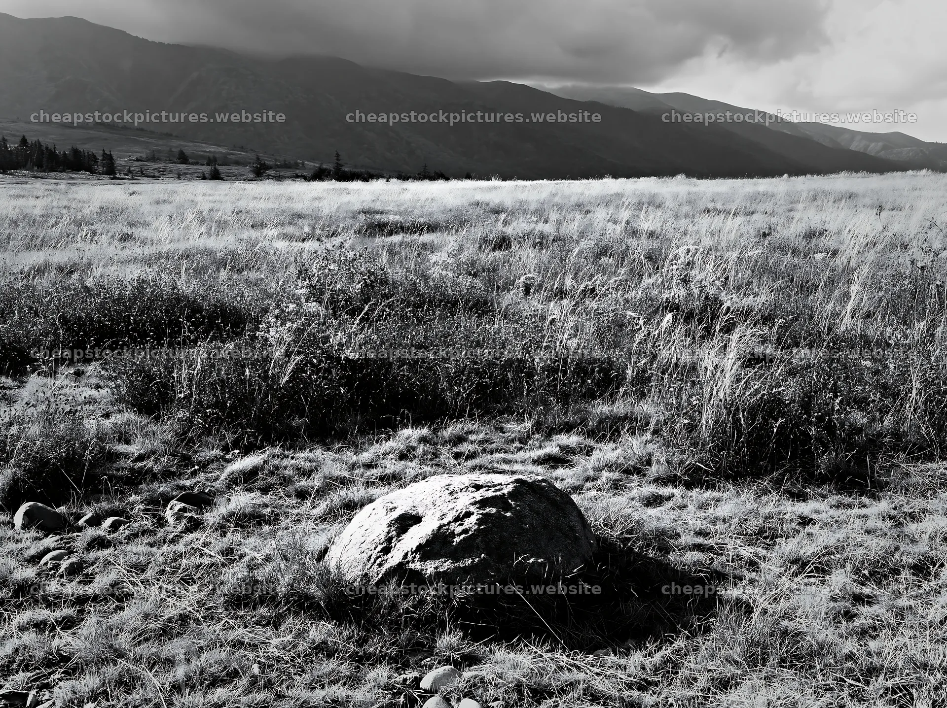 Nagano drought resilient meadow granite boulder near grassland – stock pictures 9174x6866