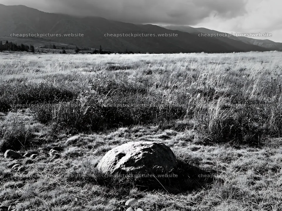 Nagano drought resilient meadow granite boulder near grassland – stock pictures 9174x6866