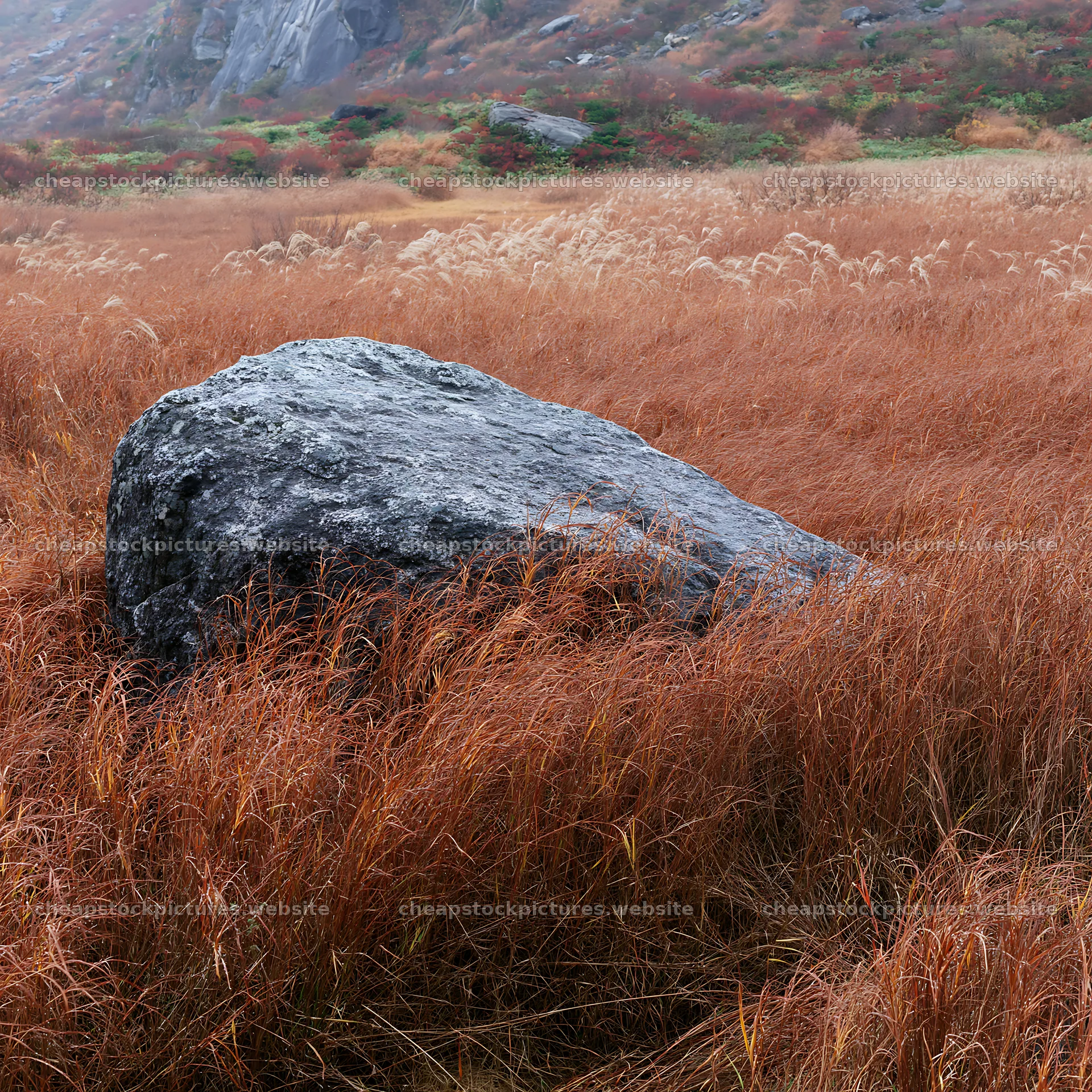 Granite boulder in a drought resilient meadow in Nagano – stock pictures 7938x7938