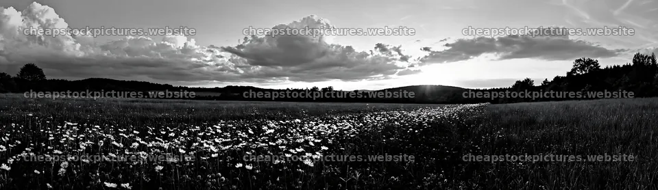 German foothill meadow with flowers at sunset – stock pictures 14762x4268