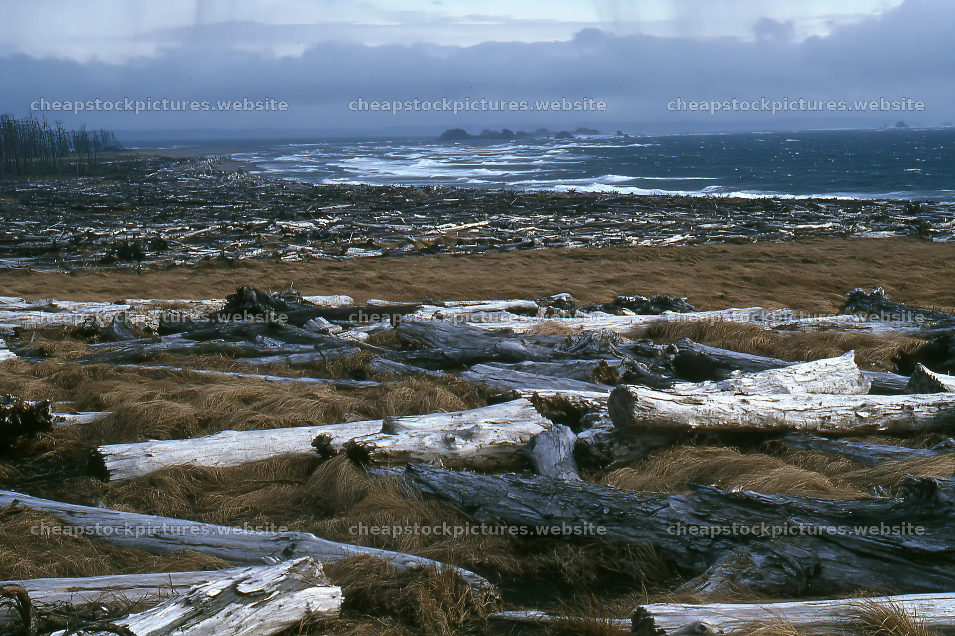 Ishikawa coastal meadow storm washed driftwood scattered on beach – stock pictures 9722x6480