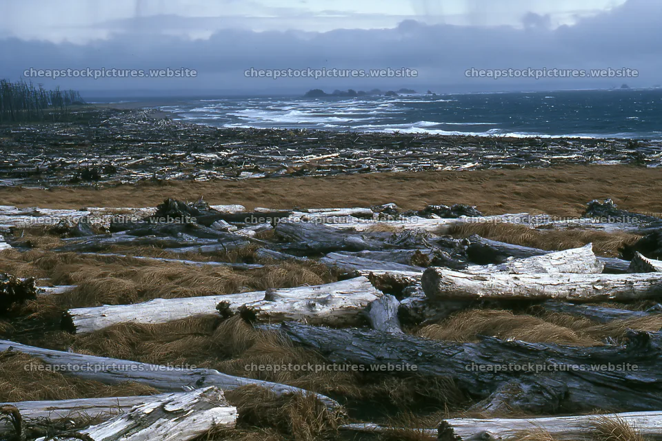 Ishikawa coastal meadow storm washed driftwood scattered on beach – stock pictures 9722x6480