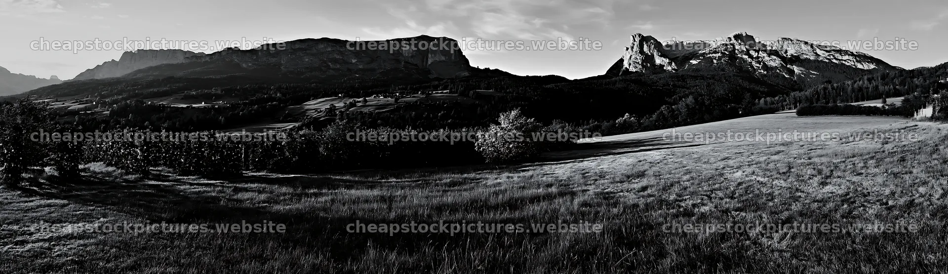 Apple tree meadow in the Dolomites with mountain backdrop – stock pictures 14762x4268