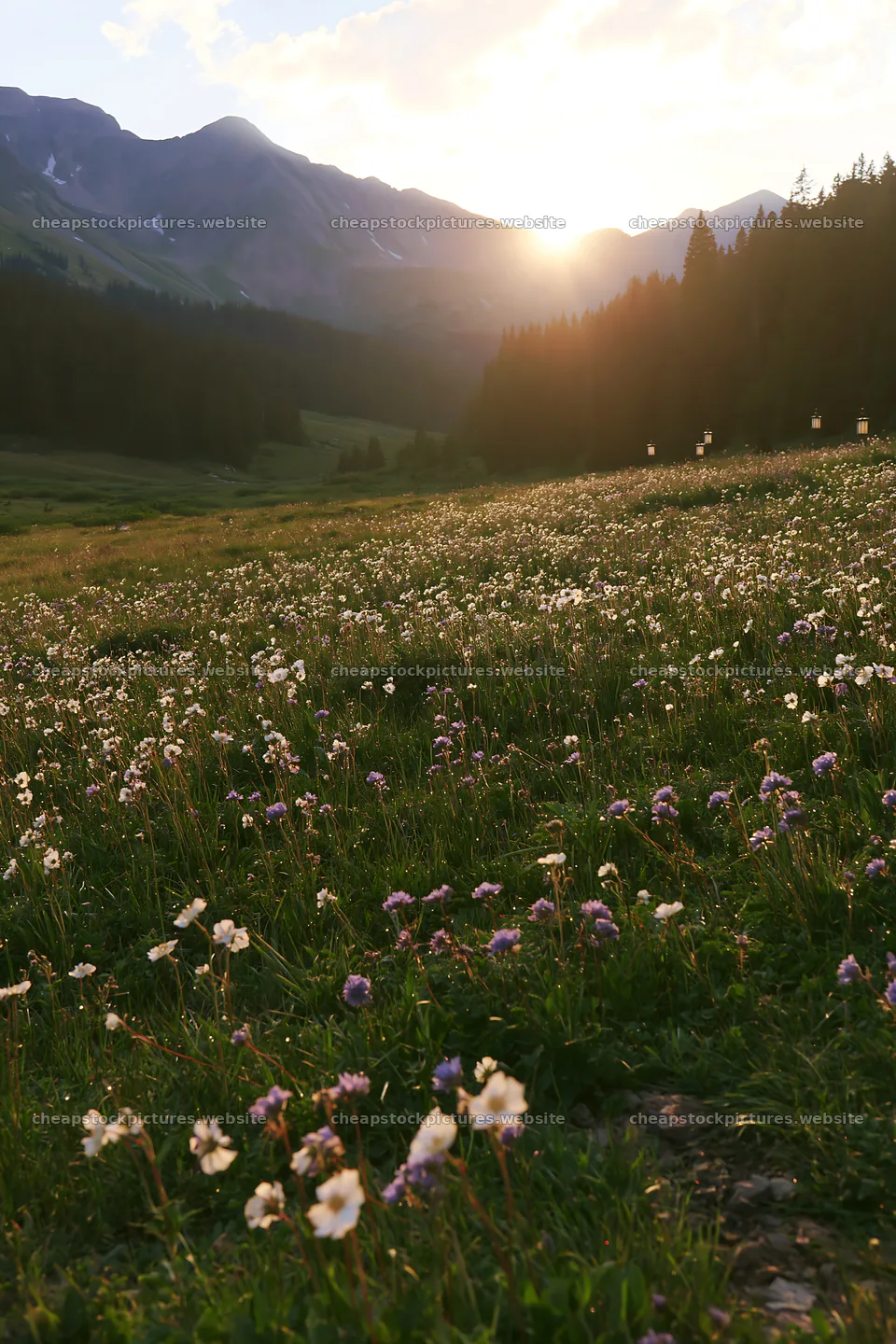 Christmas lights shine over mountain valley meadow – stock pictures 6480x9722