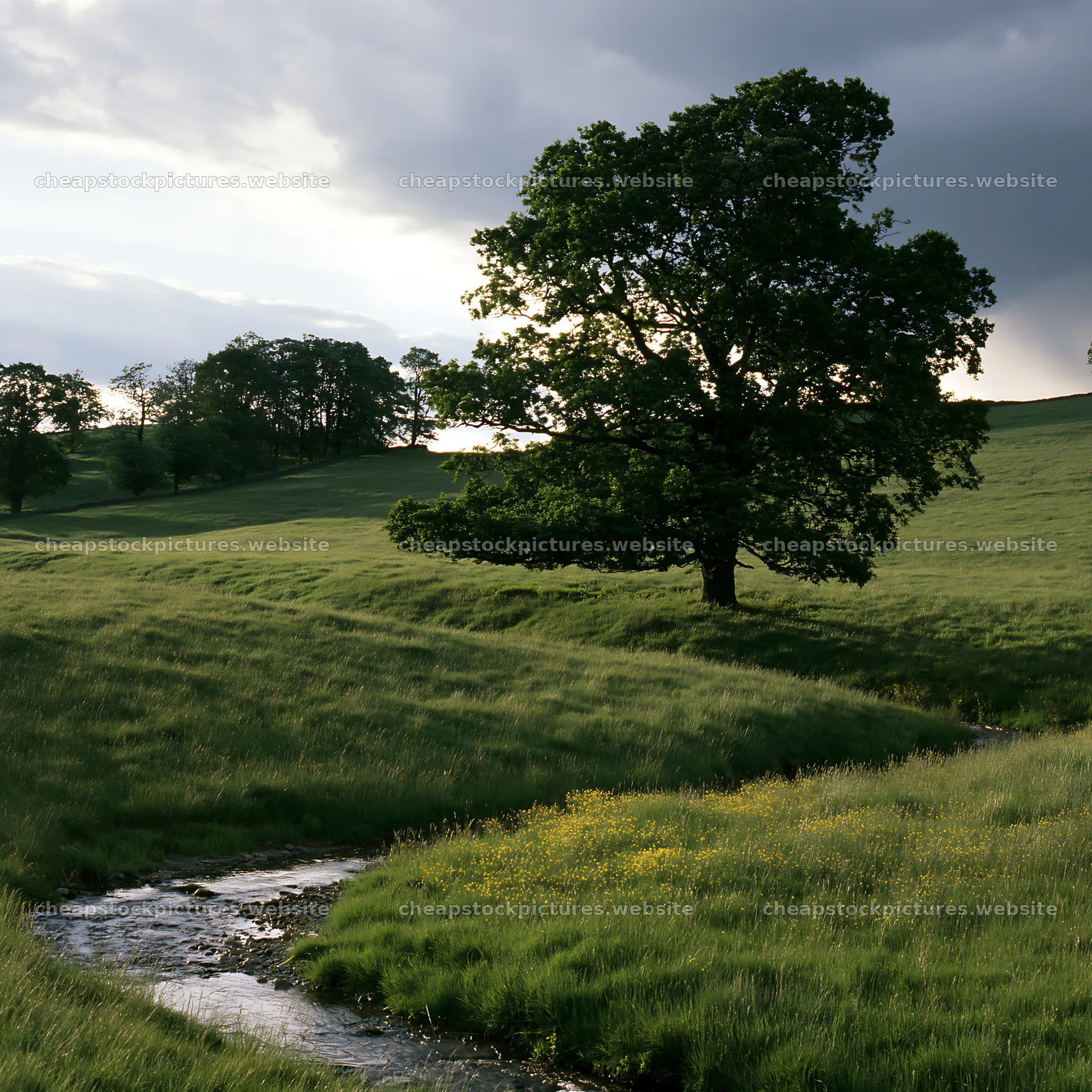 High contrast meadow with a natural watercourse under cloudy sky – stock pictures 7938x7938