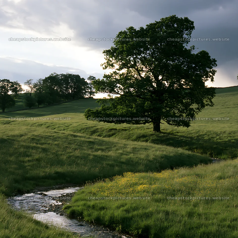 High contrast meadow with a natural watercourse under cloudy sky – stock pictures 7938x7938