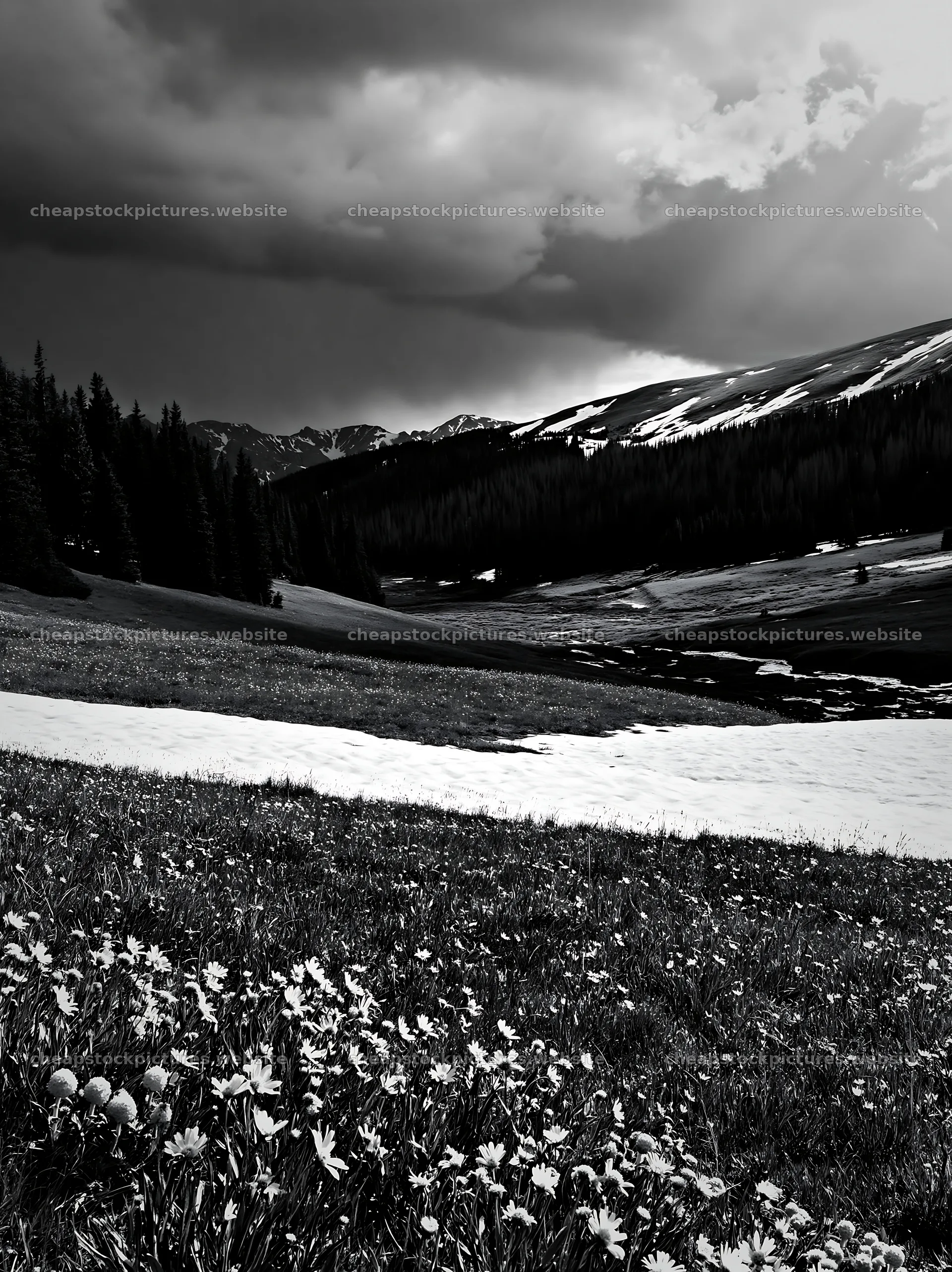 Snowy meadow in Rocky Mountain Park with cloudy sky – stock pictures 6866x9174