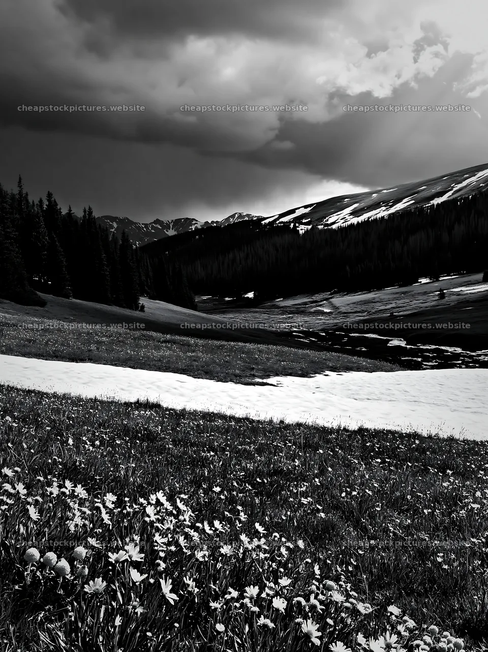 Snowy meadow in Rocky Mountain Park with cloudy sky – stock pictures 6866x9174