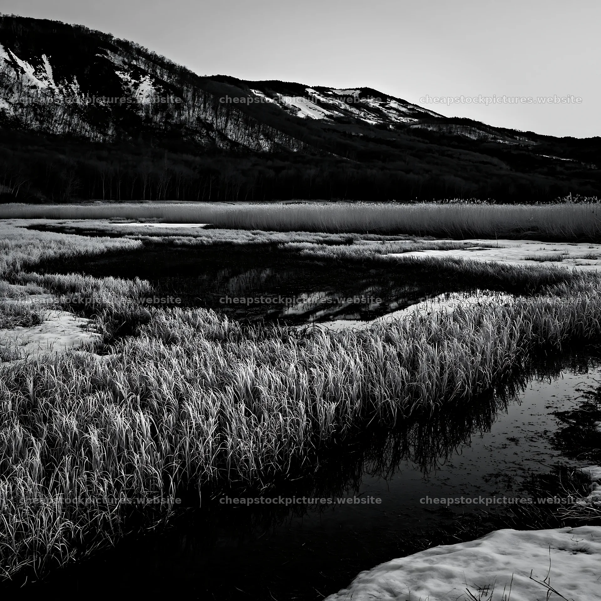 Akita snowmelt meadow with silver grasses at dusk – stock pictures 7938x7938