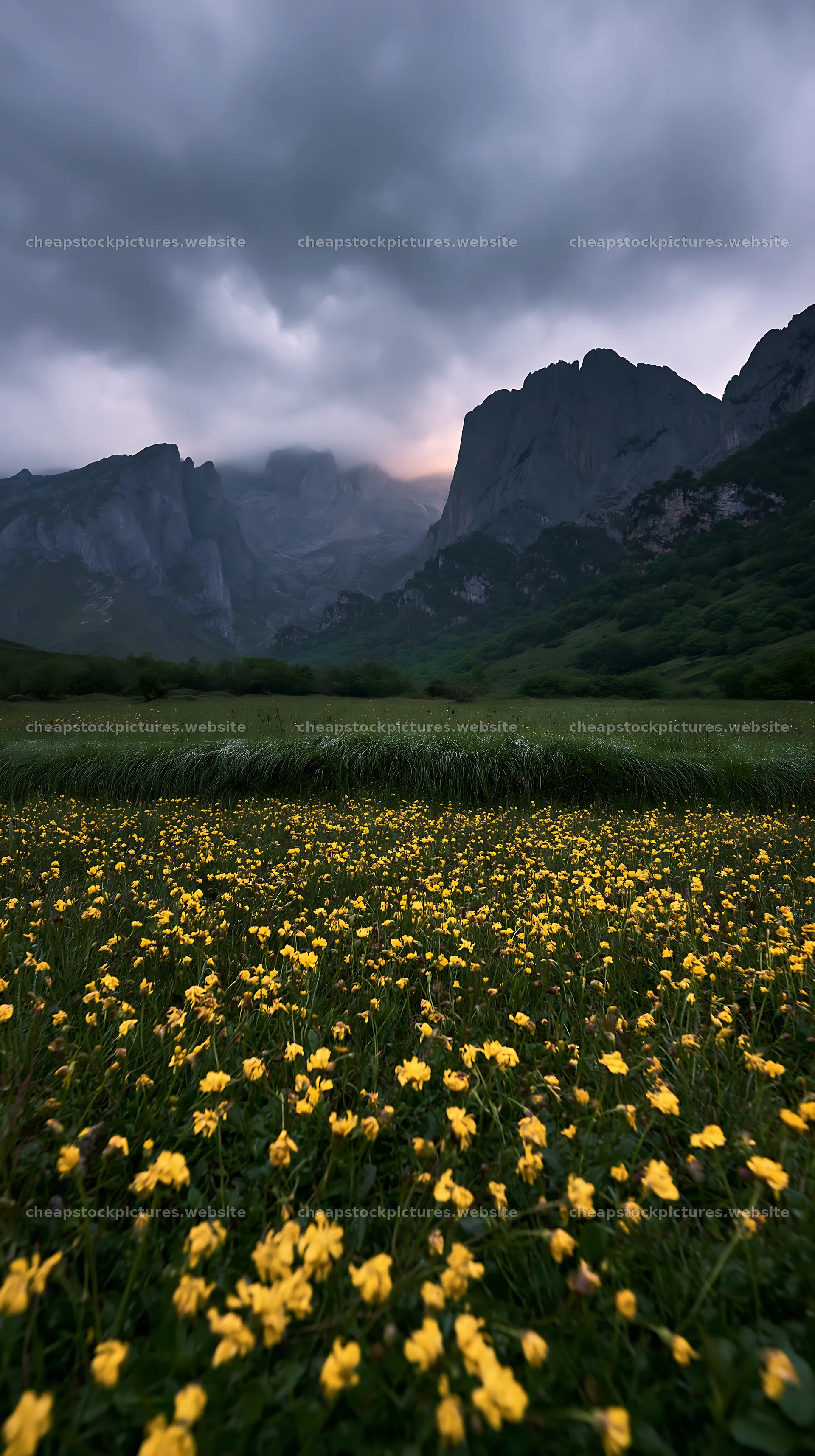 Sunlight shining on meadow in Picos de Europa mountains – stock pictures 5938x10608
