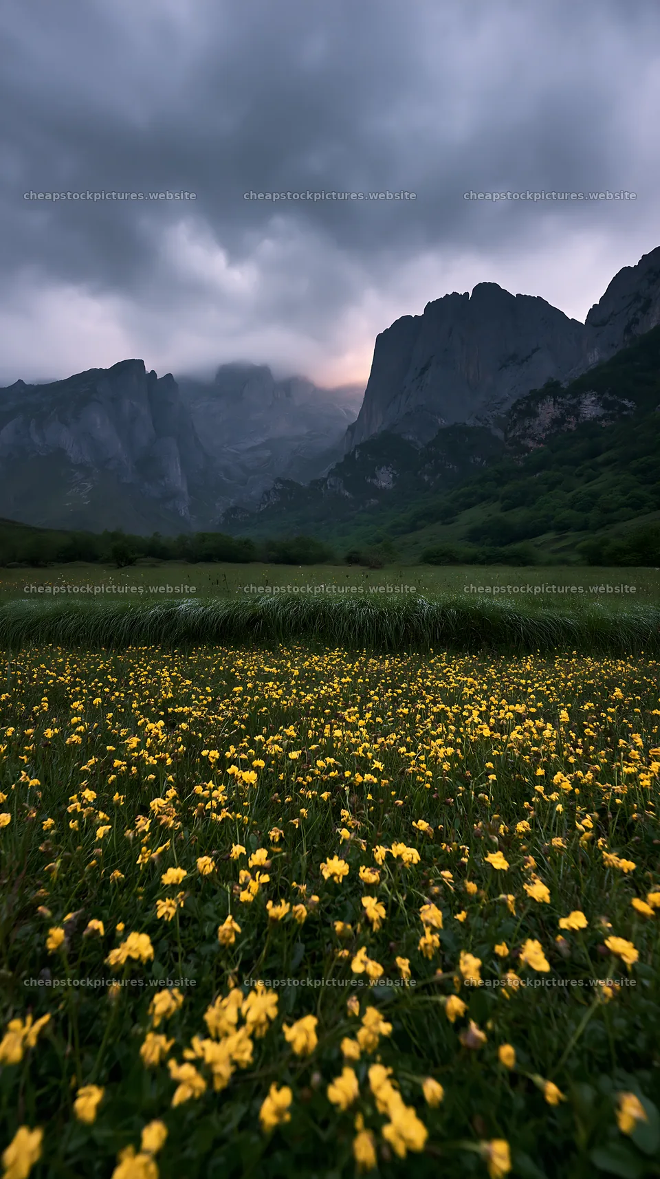 Sunlight shining on meadow in Picos de Europa mountains – stock pictures 5938x10608