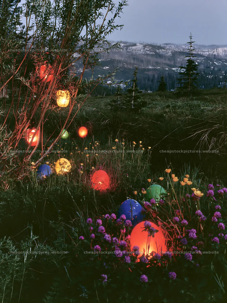 Christmas lanterns by stream in meadow at dusk – stock pictures 6866x9174